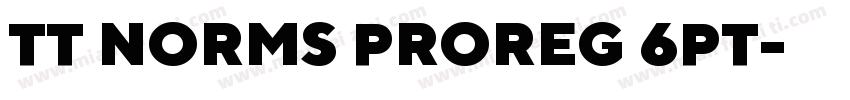 TT NORMS PROREG 6PT字体转换